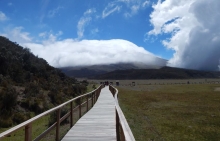 Imagen Laguna de Limpiopungo